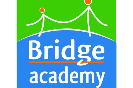 Bridge Academy in Chennai , India